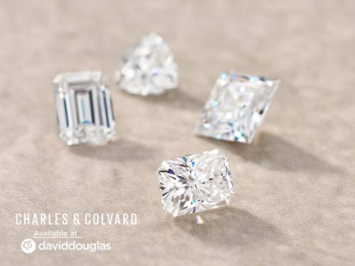 David Douglas Diamonds & Jewelry Marietta, GA