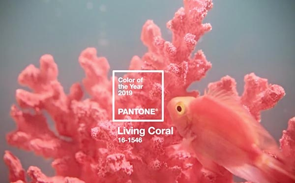 Pinkish-Orange 'Living Coral' Is Named Pantone's Color of the Year for 2019